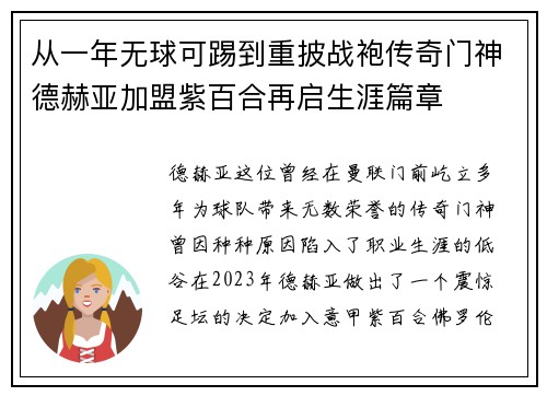 从一年无球可踢到重披战袍传奇门神德赫亚加盟紫百合再启生涯篇章 从一年无球可踢到重披战袍传奇门神德赫亚加盟紫百合再启生涯篇章